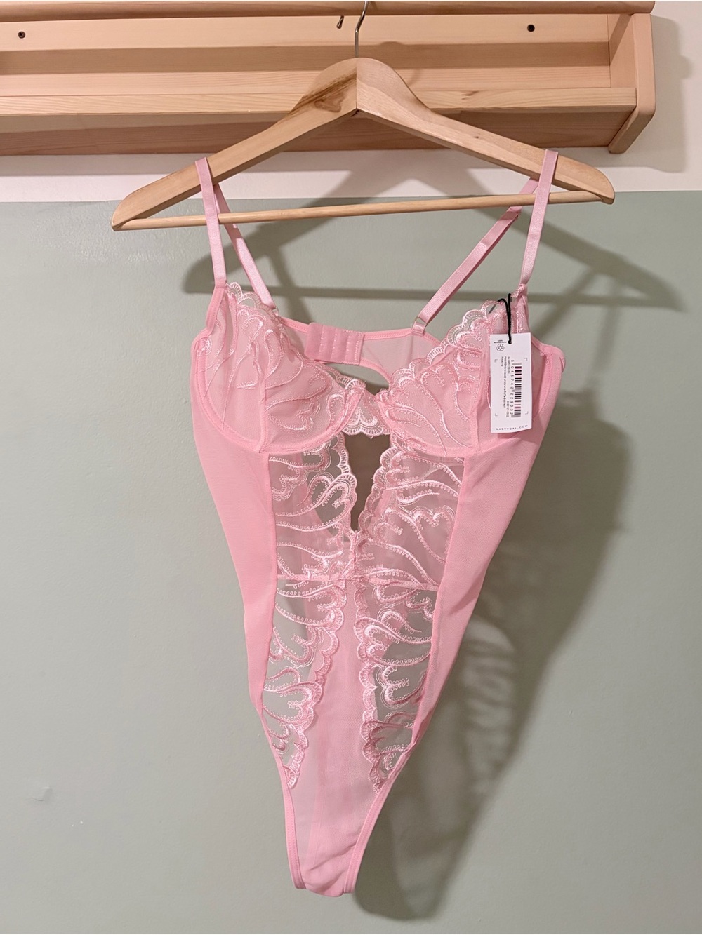 Nasty Gal Pink Sheer Lace Cutout Teddy Bodysuit